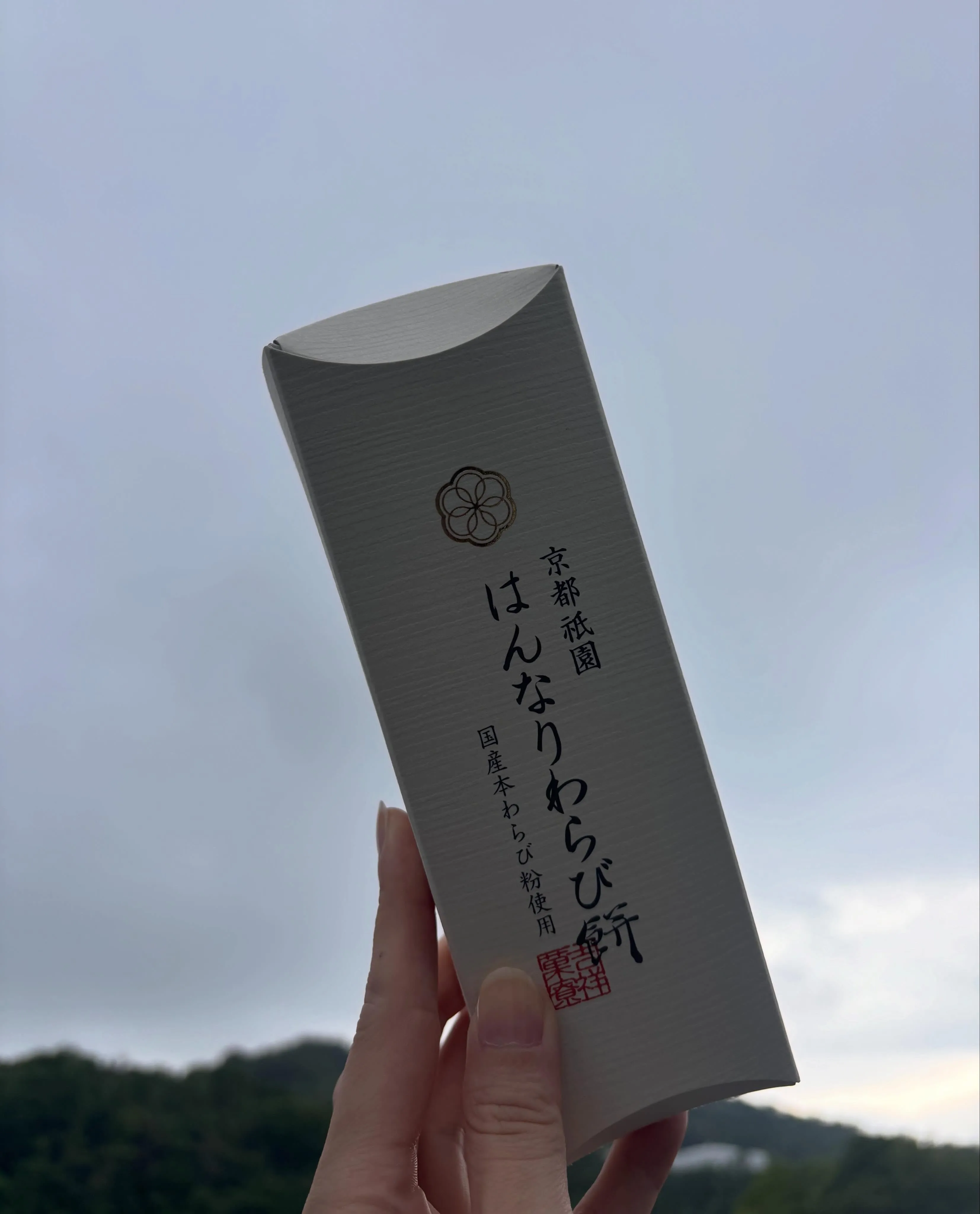 みなさん、こんにちは!